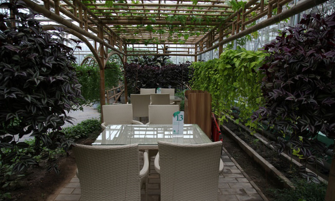 鄂州康柏宇品牌文案撰写案例